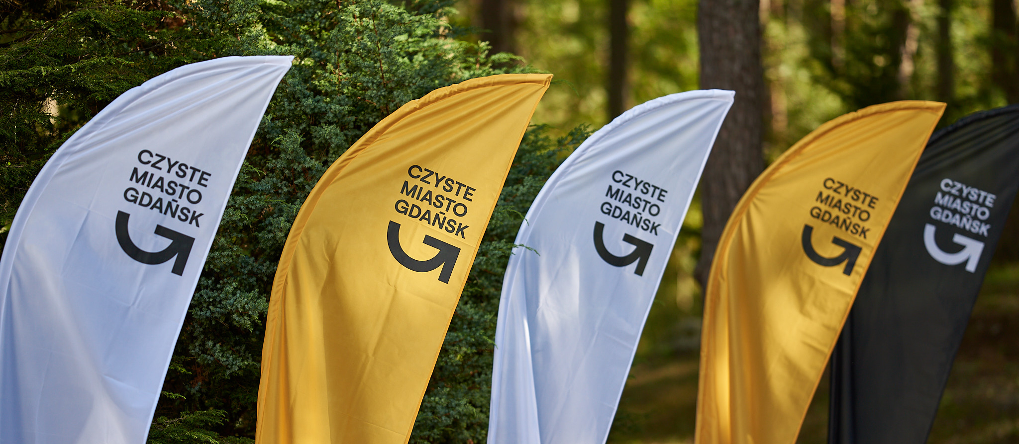 Flagi promujące inicjatywę "Czyste Miasto Gdańsk" w kolorach żółtym, białym i czarnym, umieszczone w lesie, symbolizujące dbałość o czystość i ekologię w Gdańsku.